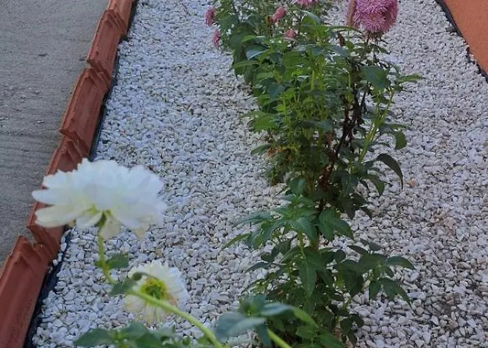 Strumyani Tiny Flat Holiday home Sandanski